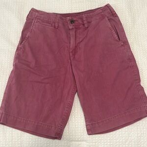 American Eagle Men’s Shorts in Size 26 Waist
